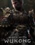 Black Myth: Wukong On Windows